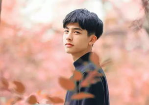 95后鲜肉霸屏，新生代崛起，谁是你心中的潜力股？