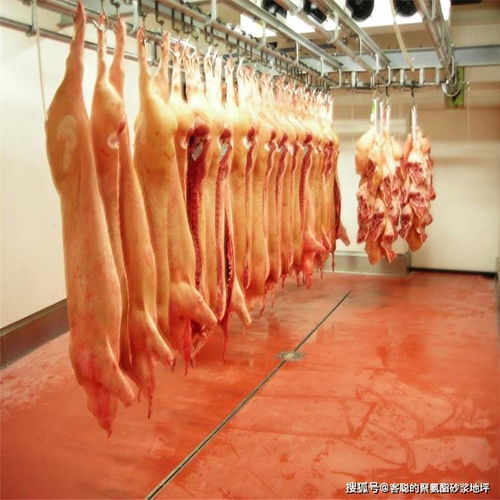 为何仅存储鲜肉的食品厂冷库对聚氨酯砂浆地坪存在深度依赖？——必须严守的机理选择与技术突破口